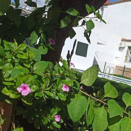 فيلا Casa Turquesa Valencina de la Concepción المظهر الخارجي الصورة