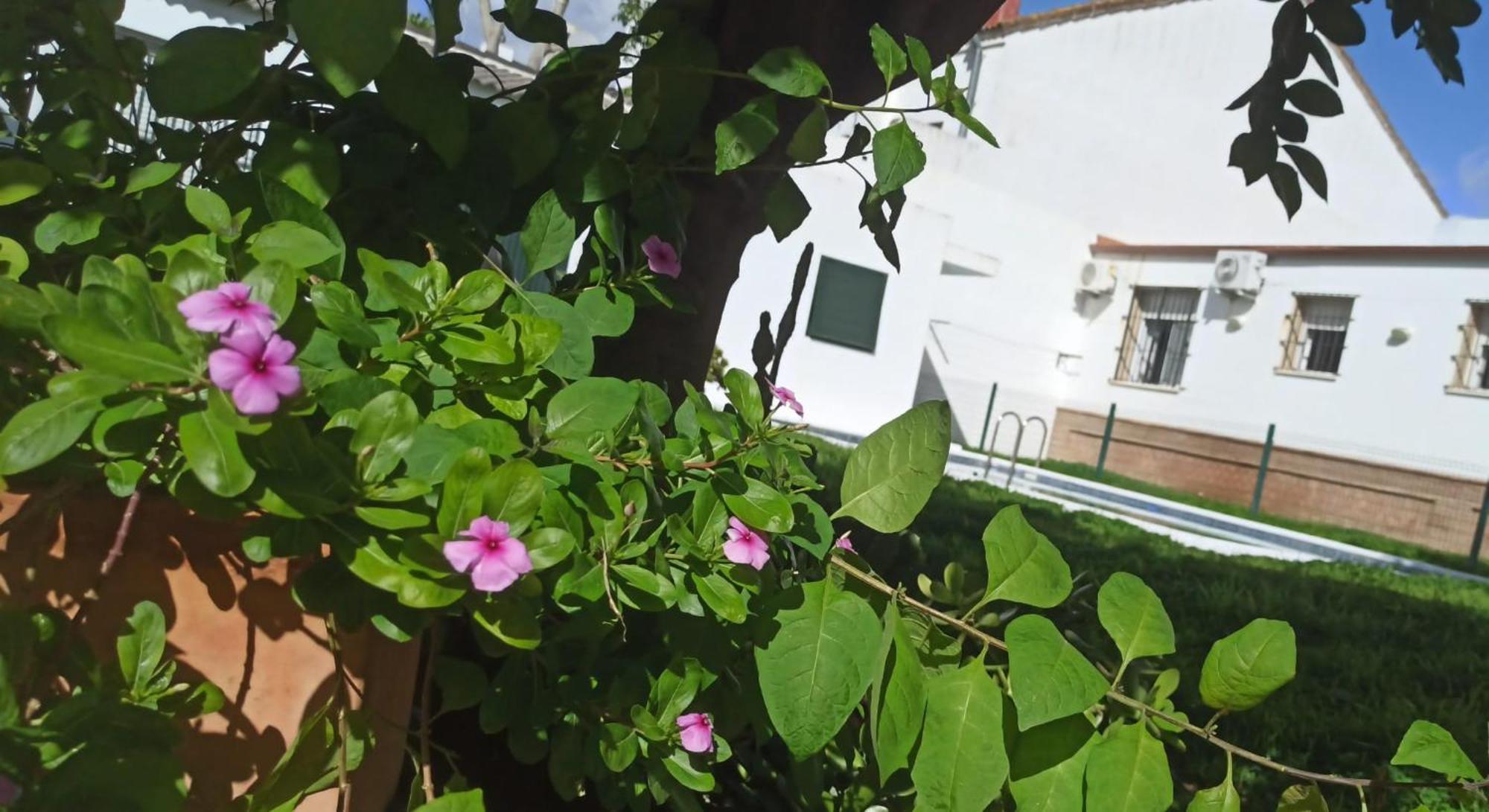 فيلا Casa Turquesa Valencina de la Concepción المظهر الخارجي الصورة